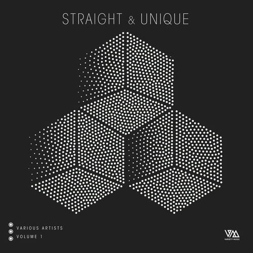 VA - Straight & Unique Vol. 1 [VOLTCOMP1204]